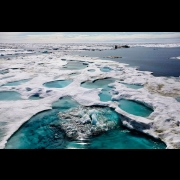 4-D Traveller - Canadian Arctic Coast
