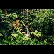 Cosmic Dream Club - The Secret Life Of Plants (A 4th World Expedition) Part IV