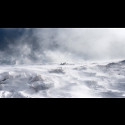 Cosmic Dream Club - Schneejagd