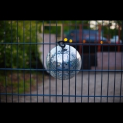 disco 
