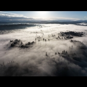 4-D Traveller - Pacific Northwest Wilderness