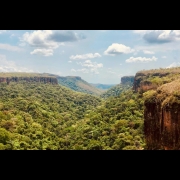 Cosmic Dream Club - Mato Grosso