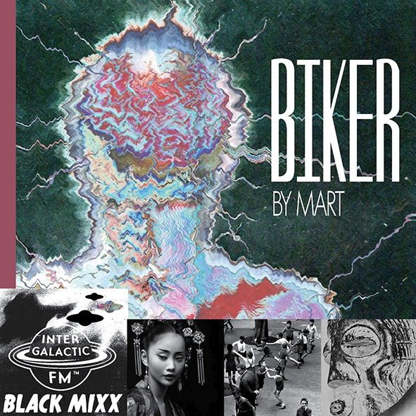 martbikercover